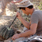 Mykel spends a good portion of the day in the Mexican desert taking cover in the in the shade. He gets much needed fluids from cacti, like this barrel cactus, by cutting them open and sucking out the juices. The remaining cactus pulp is saved for the solar still he and Ruth use to distill every drop of moisture from the fruit.