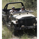The Hawkes driving deep into the African bush.