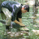 Mykel catches a gator and secures the mouth for safer handling.