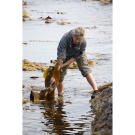 Ruth's research background comes in handy in Tasmania, where she recreates an ancient Aboriginal technique, using bull kelp to make a bowl for catching and holding water. Since the Hawkes have no canteens when they go on a mission, improvising a water-carrying device is a big step forward in their quest for survival. If you can master the basics of building fire, creating shelter, and harvesting food and water, your chances of making it in the middle of nowhere are much better.