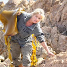 Ruth drags bull kelp onto shore in Tasmania. She'll use it to craft a canteen for preserving and carrying water. The kelp weighs a ton!