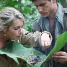 Fire is one of the most essential tools for survival, and in the wet jungles of the Amazon, it is almost impossible to create using primitive methods. After hours of work, Mykel and Ruth finally manage to spark an ember, which they gently nurse to life. Once the ember is lit, the Hawkes will carry it to their above-ground shelter to keep it dry.