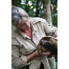 The Hawkes face a dilemma that threatens their survival -- and their relationship -- when Mykel catches a turtle for dinner. Ruth grew up with pet turtles, and truly loves the creatures. The thought of eating this one, found on the jungle floor, is more than she thinks she can handle.