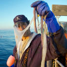 Slimy eels are slimy and dirty.