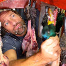 Processing birds for goose-down pillows and comforters? Definitely a dirty job.