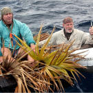 Drawing on the two different cultures that inspire their survival strategies, Cody sets sail in a handmade raft made of driftwood, palm fronds and rope. Dave chooses a more conventional craft although it's hardly much more shark proof.