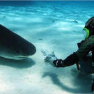 Dave tries to make friends with one of the regulars.