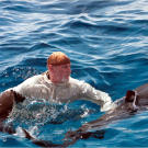 Dave hits the water too, but he's had enough experience with large predators to know that staying calm is the best method to avoid aggressive shark reactions.