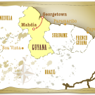 Guyana Gold