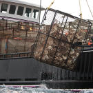 Time Bandit