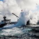 Time Bandit