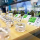 4/20 is Harborside's busiest day of the year. They stock their shelves with top shelf cannabis and offer special deals to patients on this very competitive day.