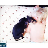 It is literally too cute to see a little boy and his puppy share such a great friendship.