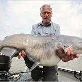 It's been said that the aggressive blue catfish will attack people. There are reports of scuba divers being attacked by these fish.