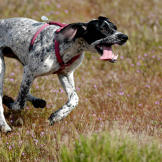 Wild and free!