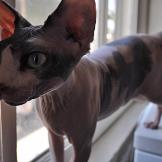 Avery looking out of the window.