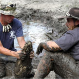 As seen on Gator Boys, only on Animal Planet.