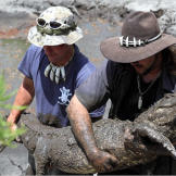 As seen on Gator Boys, only on Animal Planet.