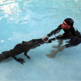 As seen on Gator Boys, only on Animal Planet.