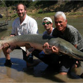 Jeremy Wade holds a nearly 7-feet-long, 111-pound alligator gar with Mark Spitzer and guide Bubba Bedre.