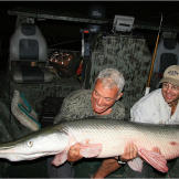 This alligator gar in River Monsters were caught in the Trinity River in Texas. The river, which flows into the Gulf of Mexico, is winding and muddy with lots of dead wood.