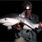 Yes, there are sharks in some freshwater rivers. Jeremy Wade holds a five-foot bull shark captured in Australia's Brisbane River.