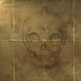 Early drawing of an alleged mermaid skull.
