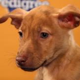 Name: Marbles