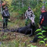 North Woods Law