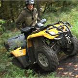 North Woods Law