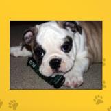 Name: Rugby