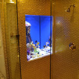 Roxbury Hotel Tank
