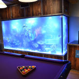 Jeff Tremaine/"Jackass" Tank