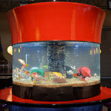 D Bar J Hats Tank