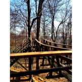 The Treetop Taphouse