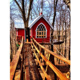 The Treetop Taphouse