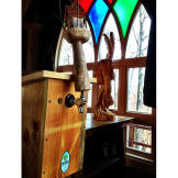The Treetop Taphouse