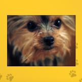 Name: Zoey