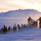 The Sirius Patrol in northern Greenland (6 a.m., -31°F).