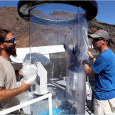 This contraption is called a "shark tube." Made of polycarbonate plastic, the shark tube is only a quarter of an inch thick, but strong enough to resist a great white — at least, shark expert Chris Fallows (right) hopes it is.