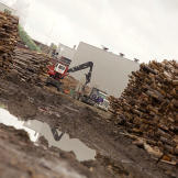 Looks like the loggers have been very busy!