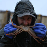 Hmm, is this the correct way to eat a crab?