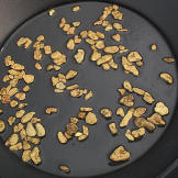 The hard won payoff from tons of rock ore include these larger nuggets typically extracted early in the process by the sluice boxes. Most of the nuggets found in this part of Alaska have been flattened by the shearing action of the glaciers that once covered the region.