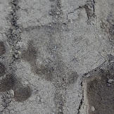 Bear tracks are a common sight across the camp since bears — primarily grizzlies and black bears — outnumber humans by at least three-to-one. The aroma of human food travels for miles, drawing in far more bears than would normally inhabit the area. Loud machine noise generally keeps them away, but a sharp lookout and secure food storage are full time requirements.
