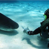 Dave tries to make friends with one of the regulars.