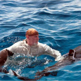 Dave hits the water too, but he's had enough experience with large predators to know that staying calm is the best method to avoid aggressive shark reactions.