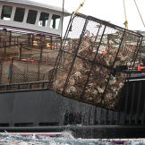 Time Bandit