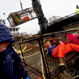 Time Bandit