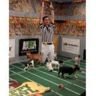 It's a touchdown!