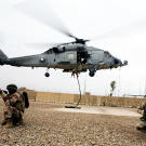 Humans have always used whatever means possible to gain an advantage over their foe - after all, it literally is a matter of life and death. Though warfare has evolved greatly over millennia, we still employ animals in armed conflicts in the same ways as our ancestors, while trying to make further use of their special capabilities.